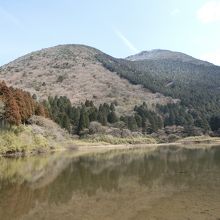 精進池越しの二子山