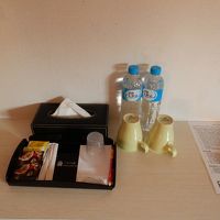 この宿泊料でペットボトルの水がありました