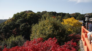 眺めの良いお寺
