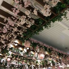 お花見シーズン