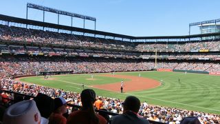 良い球場です。チケットも手ごろ