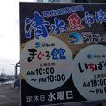 清水魚市場 河岸の市