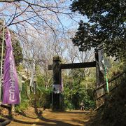 小机城址が続日本の百名城に選出されました。