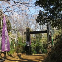 本丸広場　本丸虎口の冠木門