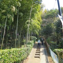 小机城址市民の森入口