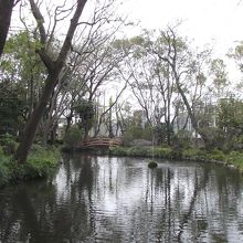 放生池 (前方が正面鳥居)