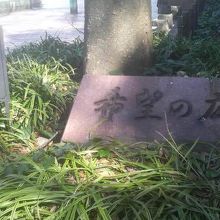 植え込み内の目立たない場所に看板があります