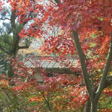 水車小屋と紅葉