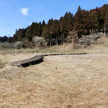 池の水位はだいぶ下がっているようです。