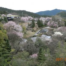 中千本地区から