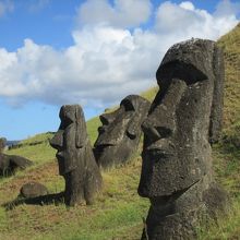 遊歩道沿いで見ることができます