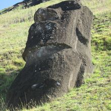 地面に埋まっています