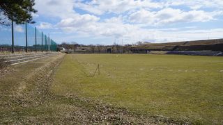 芝生のグラウンドのような感じ