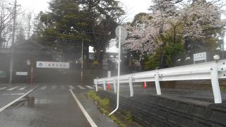 大きな看板が出ていてわかりやすい