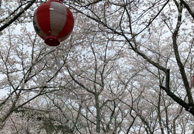 1日だけ雨が止みました。