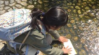 日本っていいなぁを再確認。