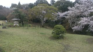 広大な堀田邸のお庭を一般に開放されている