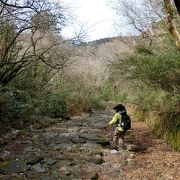 小田原から箱根の山を登ってきた旅人が、一息ついた場所。