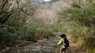 小田原から箱根の山を登ってきた旅人が、一息ついた場所。