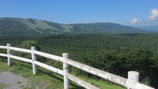 雄大な景色が楽しめます