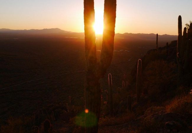 ツーソン マウンテン パーク