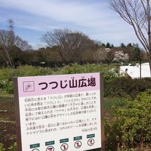 トランポリン的な遊具あり