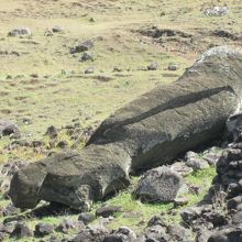 壊れたモアイ像があります