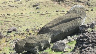 壊れたモアイ像が点在しています