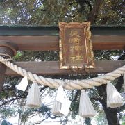 金剛院の隣に位置する長崎神社は椎名町駅から近く江戸時代は長崎村の鎮守様、平成4年豊島区民族文化財に指定され静かで味わいのある神社です