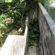 住宅の塀の隙間の細い通路の先、右手に壕がある 