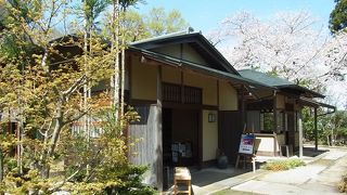 掛川城を眺めながらお茶を楽しめます