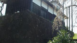 公園内で一番手前にあります