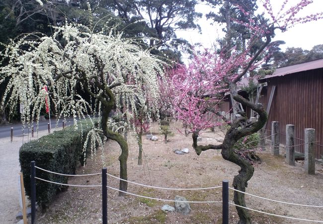 結城神社 クチコミ アクセス 営業時間 津 フォートラベル 結城神社 クチコミ アクセス 営業時間 津 フォートラベル
