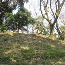 飛鳥山公園の中にある古墳