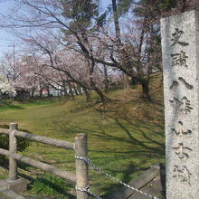 古墳を示す石柱と満開前の桜の木の様子