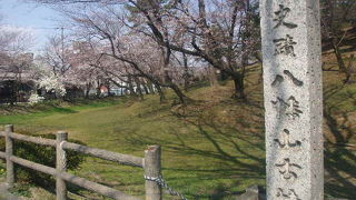 桜が素晴らしい、名古屋を代表する円墳です