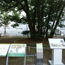 横浜開港資料館