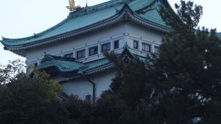 天守閣の木造化が政治問題化してますが，桜の方がきれいです。