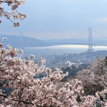 噴水広場付近から見た明石海峡大橋