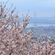 噴水広場付近から見た明石海峡大橋