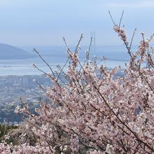 噴水広場付近から見た明石海峡大橋