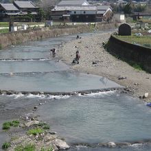 芥川有料マス釣り場