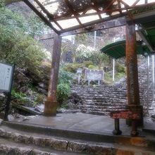 入口迄の階段です。