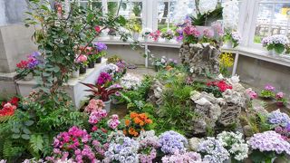 グラバー園の中心、花がいっぱい咲いています