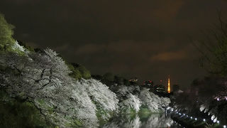 お花見スポット