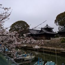 公園からの風景