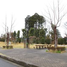 トイレ脇の風景