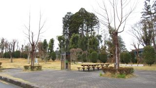 ぽつんとテレホンボックス