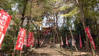 大垂桜が見事です。