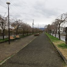 廃線後が桜並木に